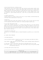펩시 후발 마케팅전략-3