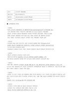 펩시 후발 마케팅전략-6