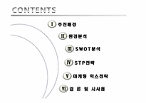 [마케팅] LG데이콤 아이모리 동영상 서비스 마케팅전략-2