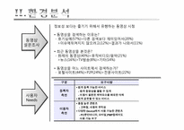 [마케팅] LG데이콤 아이모리 동영상 서비스 마케팅전략-6