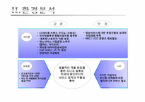 [마케팅] LG데이콤 아이모리 동영상 서비스 마케팅전략-7