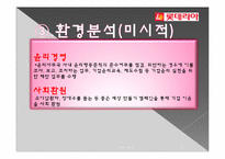 [마케팅조사] 롯데리아의 판매량에 비해 만족도가 낮은 이유-13