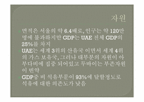 두바이로 본 중동경제-5