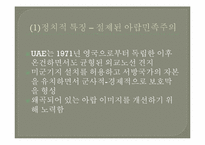 두바이로 본 중동경제-6