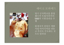 두바이로 본 중동경제-8