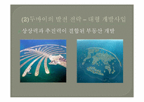 두바이로 본 중동경제-10