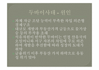 두바이로 본 중동경제-15