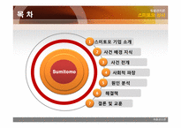 [위험관리론] 스미토모상사 사례-2