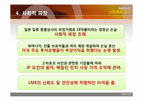 [위험관리론] 스미토모상사 사례-13