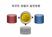 [경영정보시스템] 하얏트 호텔 SPIRIT 시스템 도입-19
