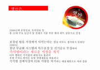 [마케팅] 햇반의 성공사례와 현재, 그리고 전략-2