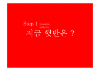 [마케팅] 햇반의 성공사례와 현재, 그리고 전략-6