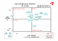 [경영전략] 금호 아시아나의 다각화 과정-12