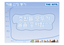 [마케팅원론] 하이트 맥주 마케팅전략-4
