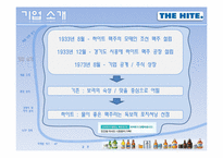 [마케팅원론] 하이트 맥주 마케팅전략-5