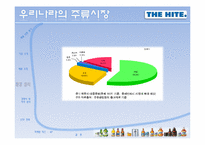 [마케팅원론] 하이트 맥주 마케팅전략-8