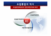 [국제통상] 유럽통합으로 보는 동북아경제통합에 관한 고찰-5