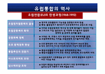 [국제통상] 유럽통합으로 보는 동북아경제통합에 관한 고찰-6