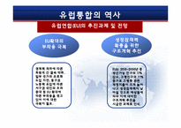 [국제통상] 유럽통합으로 보는 동북아경제통합에 관한 고찰-7