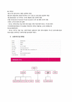 [경영학] 케이블 방송 M.net(엠넷 미디어) 성공전략-4