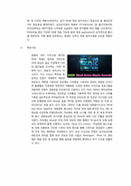 [경영학] 케이블 방송 M.net(엠넷 미디어) 성공전략-9