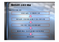 닐슨 AC Nielsen 소비자 패널-12