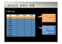 [마케팅조사론] 부산 공연문화 활성화 방안-10
