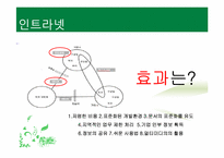 [조직행위론] 컴퓨터 기반 의사소통-9