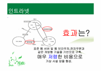 [조직행위론] 컴퓨터 기반 의사소통-11