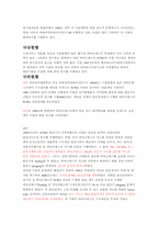 초임계수 가스화 기술에 의한 수소생산-2