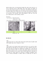 [신소재공학] Cu powder size 에 따른 성형,소결체 성질 비교-15