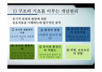 [유아사회교육] ABI SE 접근법-6
