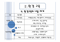 [교육 사회학] 평화, 환경, 통일 교육-11