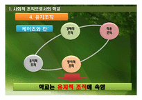 [교육사회학] 사회체제로서의 학교-9