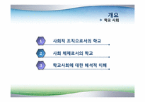 [교육사회학] 8장 학교사회-2