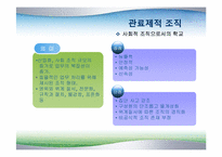 [교육사회학] 8장 학교사회-6