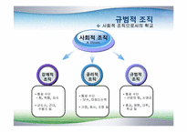[교육사회학] 8장 학교사회-8