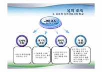 [교육사회학] 8장 학교사회-9