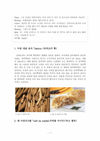 브라질의 음식 레포트-11