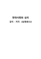 [사회심리] 감각과 지각-14