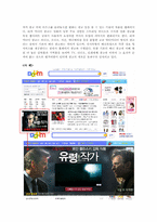 인터넷 광고 장,단점 유형과 사례-14