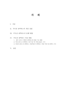 수도권 광역버스 현황 분석-2