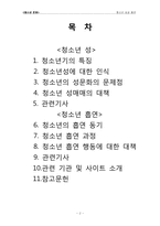 [청소년문화] 청소년의 성과 흡연-2