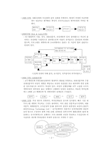 [인적자원개발] 제 5장 훈련 프로그램 개발 모형-2