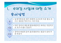 4대강 사업에 대한 비판적 고찰-4