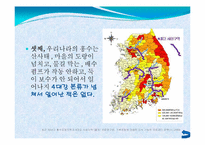 4대강 사업에 대한 비판적 고찰-8