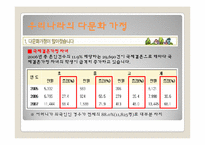 다문화 가정 청소년의 문제점-5
