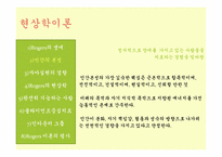 [인간행동과 사회환경] 현상학이론, 자아실현 이론-5