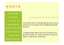 [인간행동과 사회환경] 현상학이론, 자아실현 이론-6
