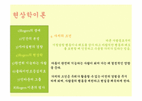 [인간행동과 사회환경] 현상학이론, 자아실현 이론-10